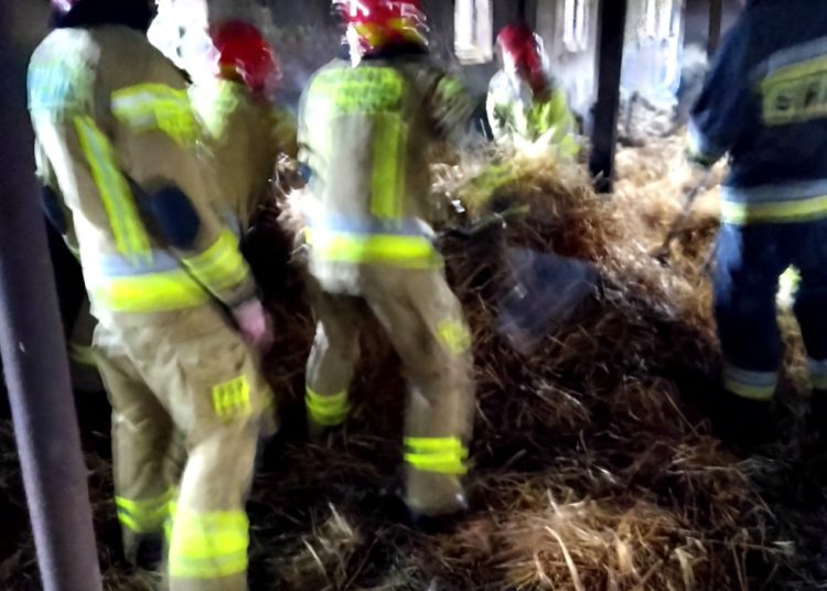 Dziś także dwa kolejne pożary  w Kotuni