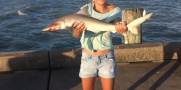 Australia – w bogactwie roślin i niezliczonych zwierząt