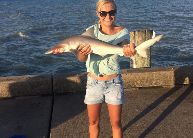 Australia – w bogactwie roślin i niezliczonych zwierząt