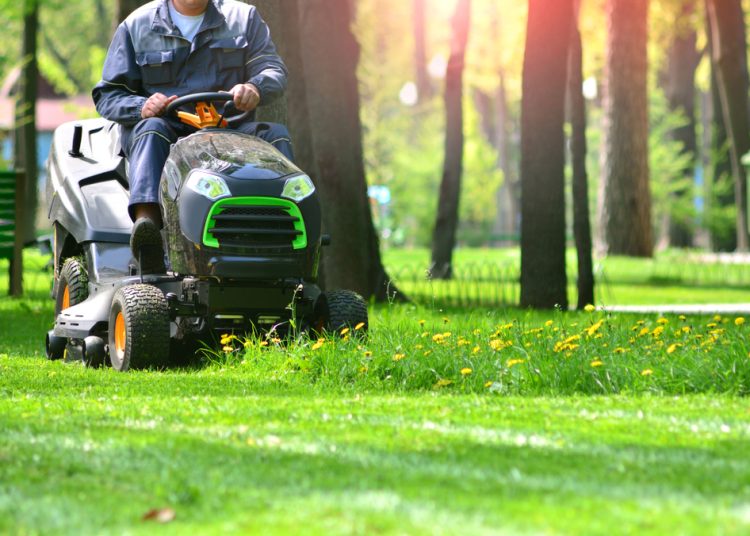 Wiosna w ogrodzie – jak przygotować się do prac ogrodniczych?