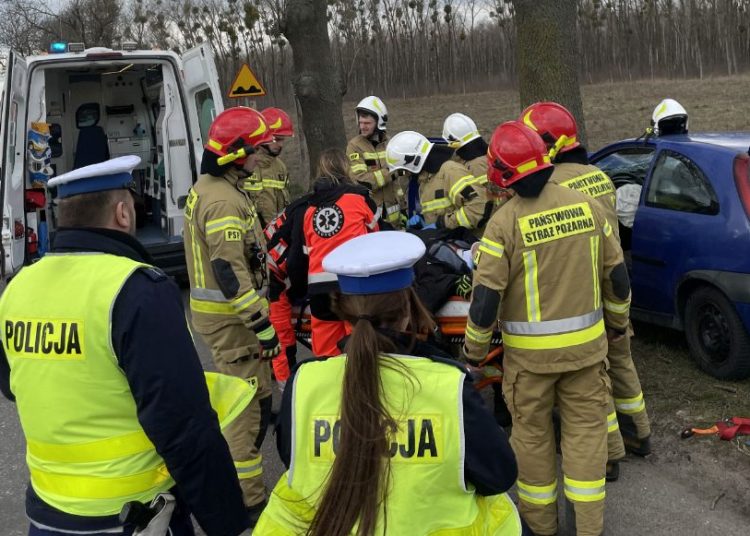 Osobówka uderzyła w drzewo
