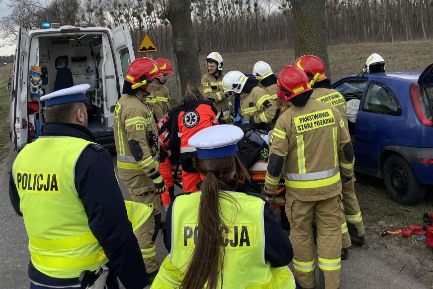 Osobówka uderzyła w drzewo