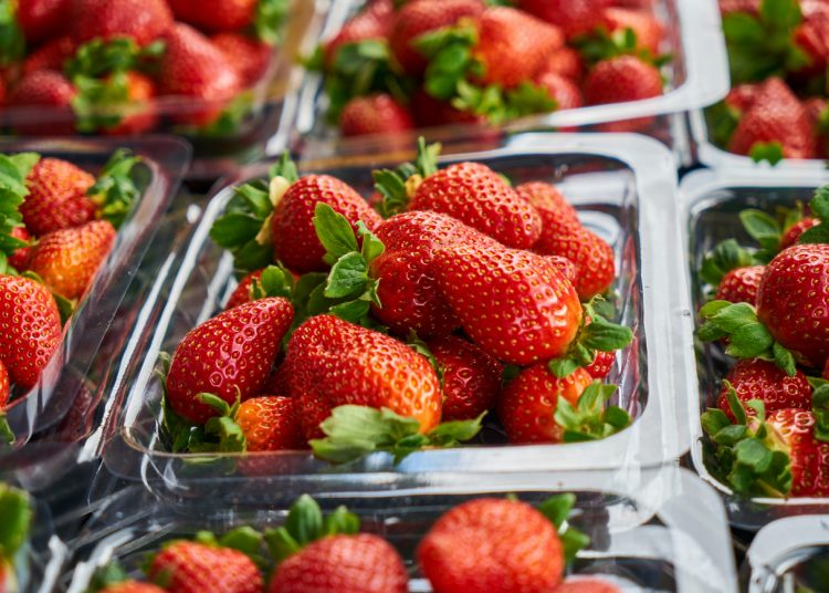 Szklane pojemniki na żywność: czy warto z nich korzystać?