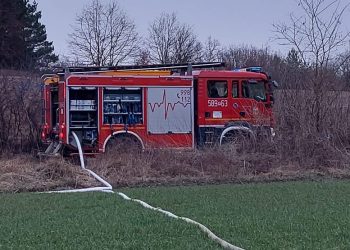 Znów gasili pożar trzciny