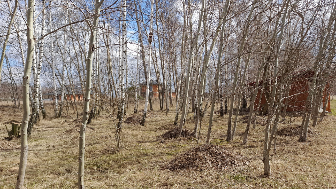 Sprzątali mieszkańcy Gółkowa