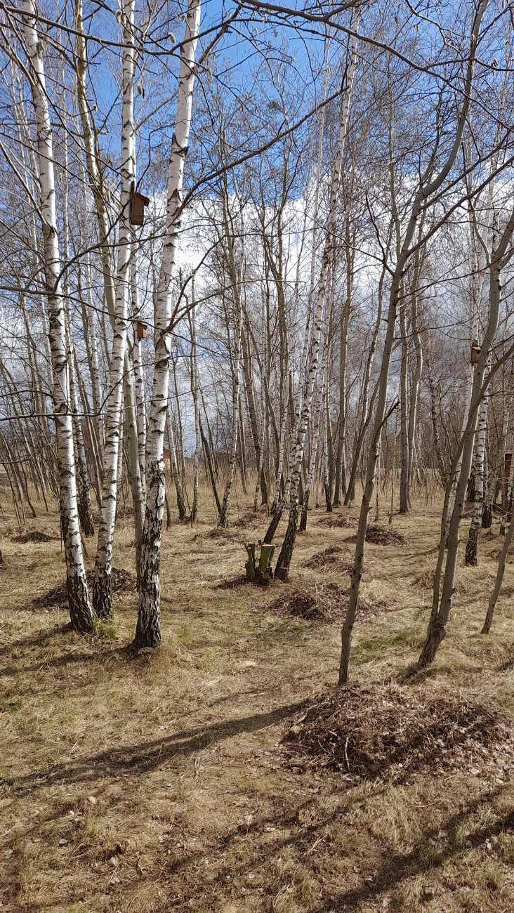 Sprzątali mieszkańcy Gółkowa