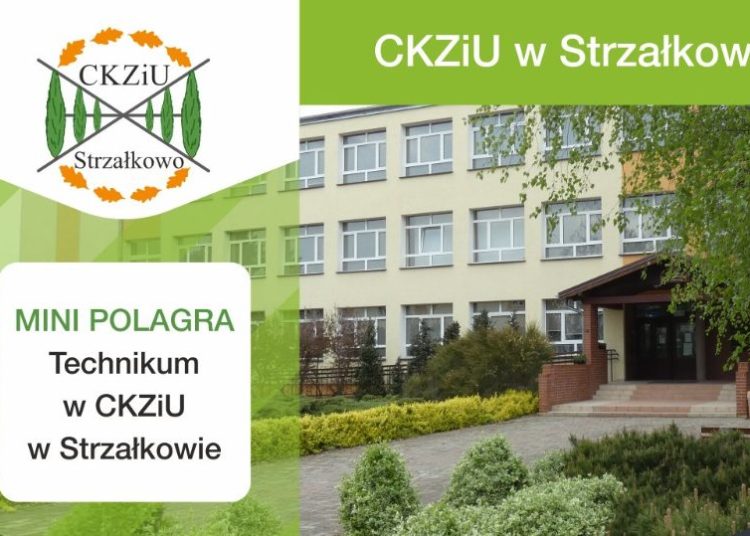 Mini Polagra w Strzałkowie