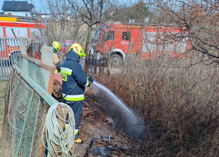 Paliła się trawa w Powidzu