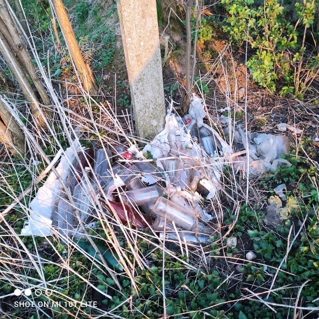 Posprzątali swoją okolicę