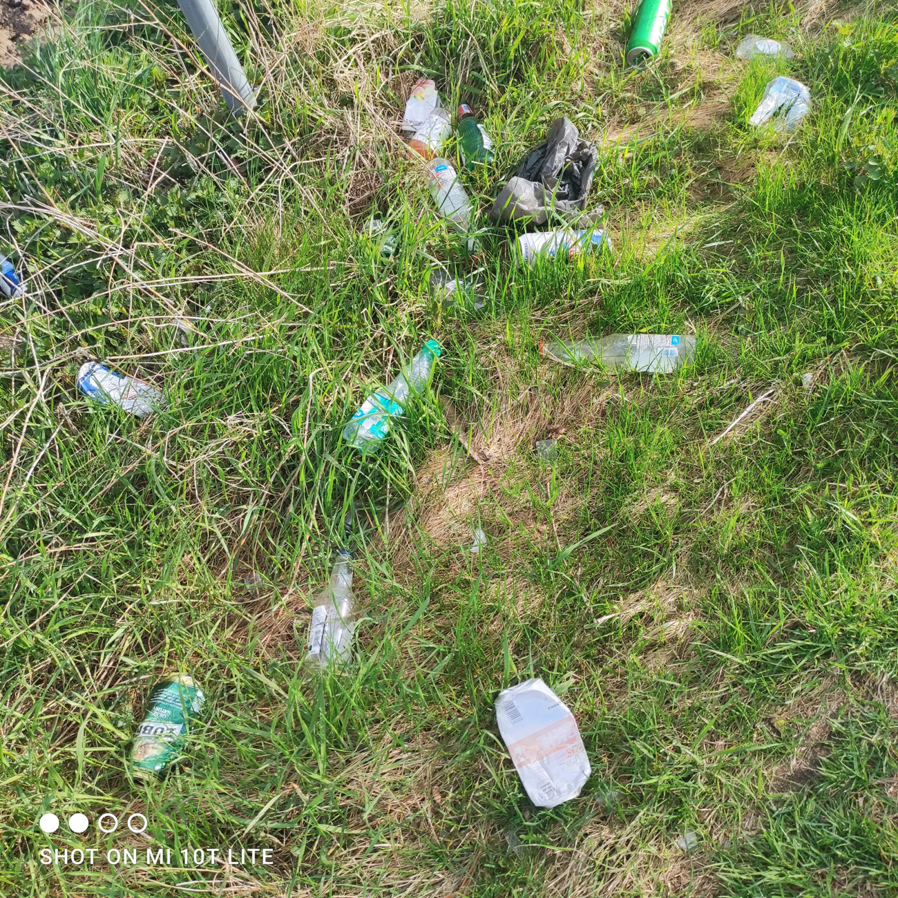 Posprzątali swoją okolicę