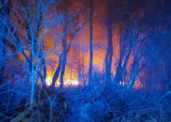 Osiem jednostek gasiło pożar