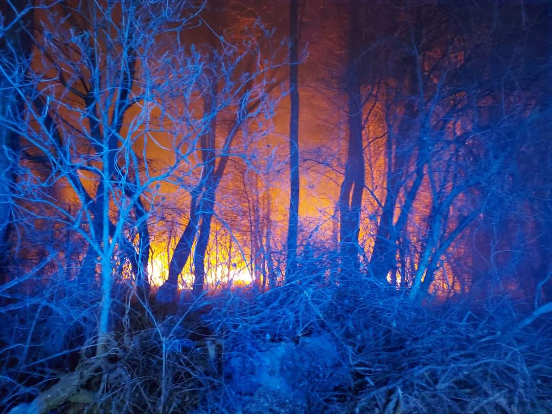 Osiem jednostek gasiło pożar