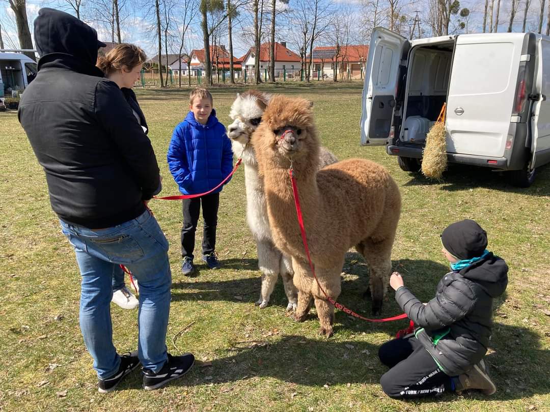 Kilkadziesiąt stoisk na Mini Polagrze w Strzałkowie
