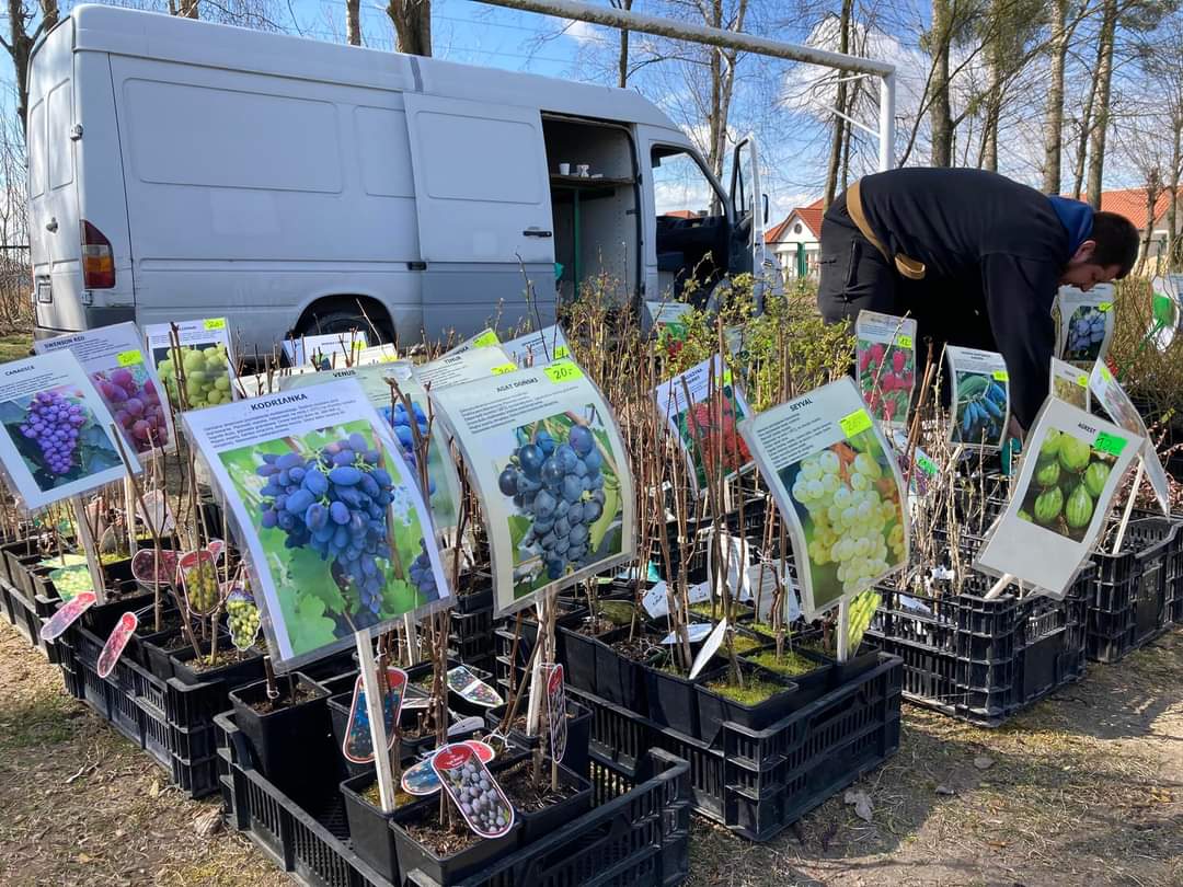 Kilkadziesiąt stoisk na Mini Polagrze w Strzałkowie