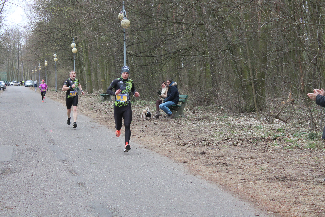 Bieg Leśnika na fotografii