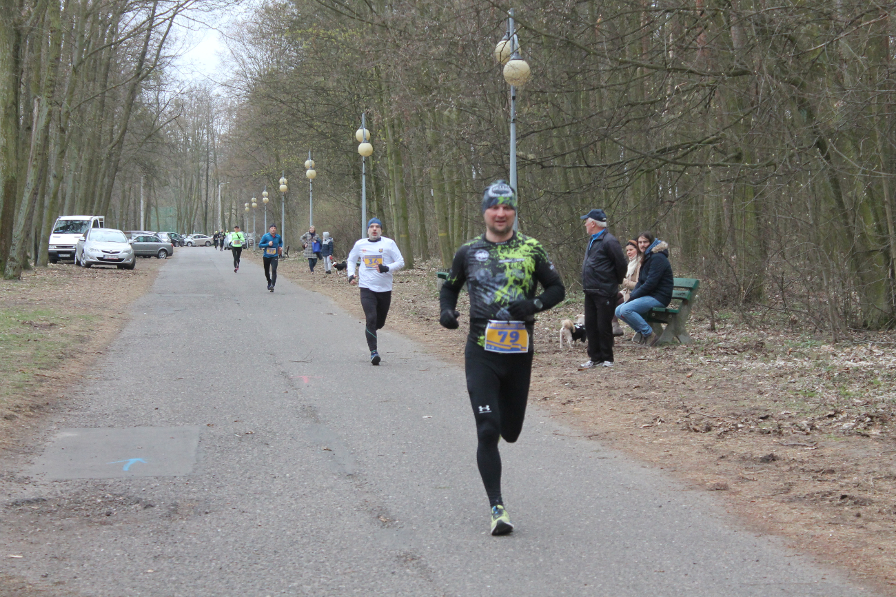 Bieg Leśnika na fotografii