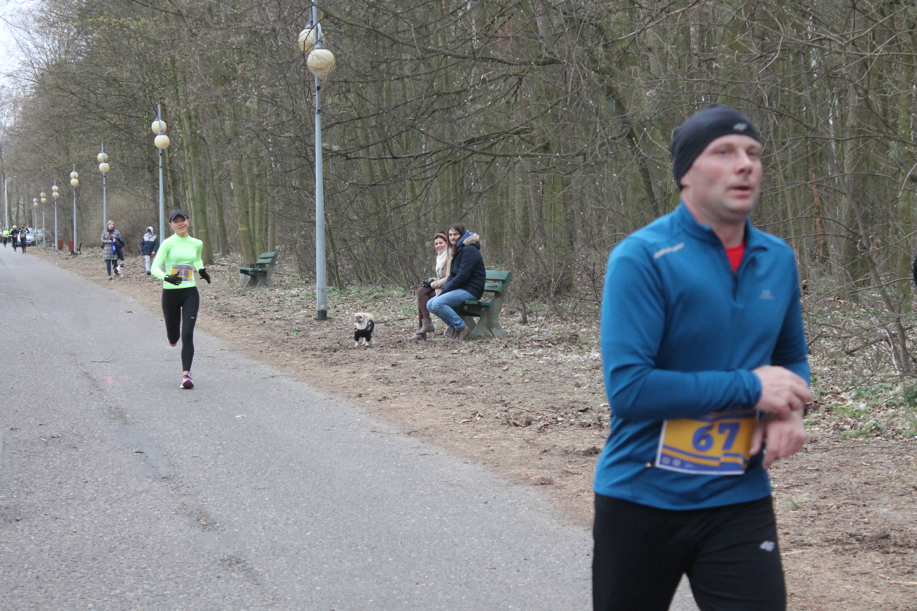 Bieg Leśnika na fotografii