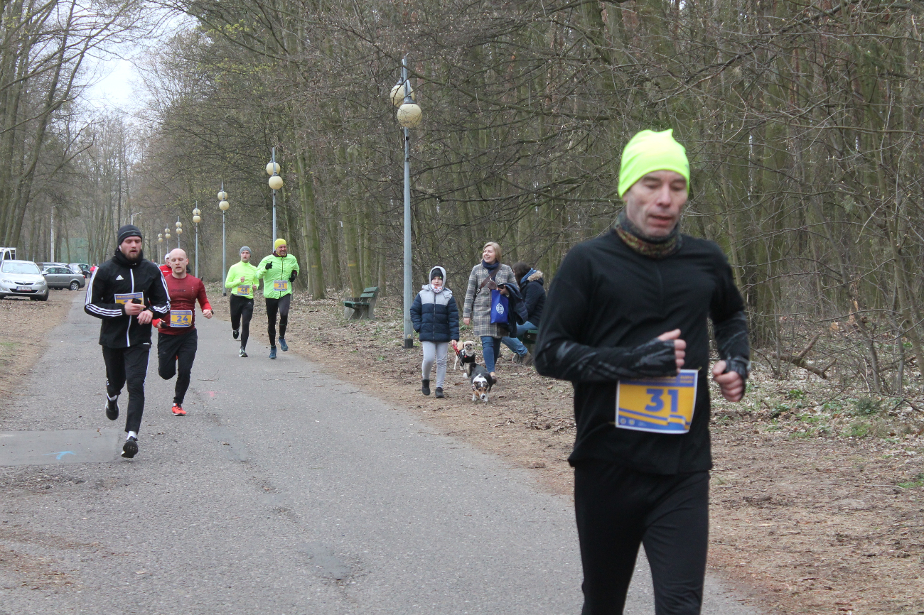 Bieg Leśnika na fotografii