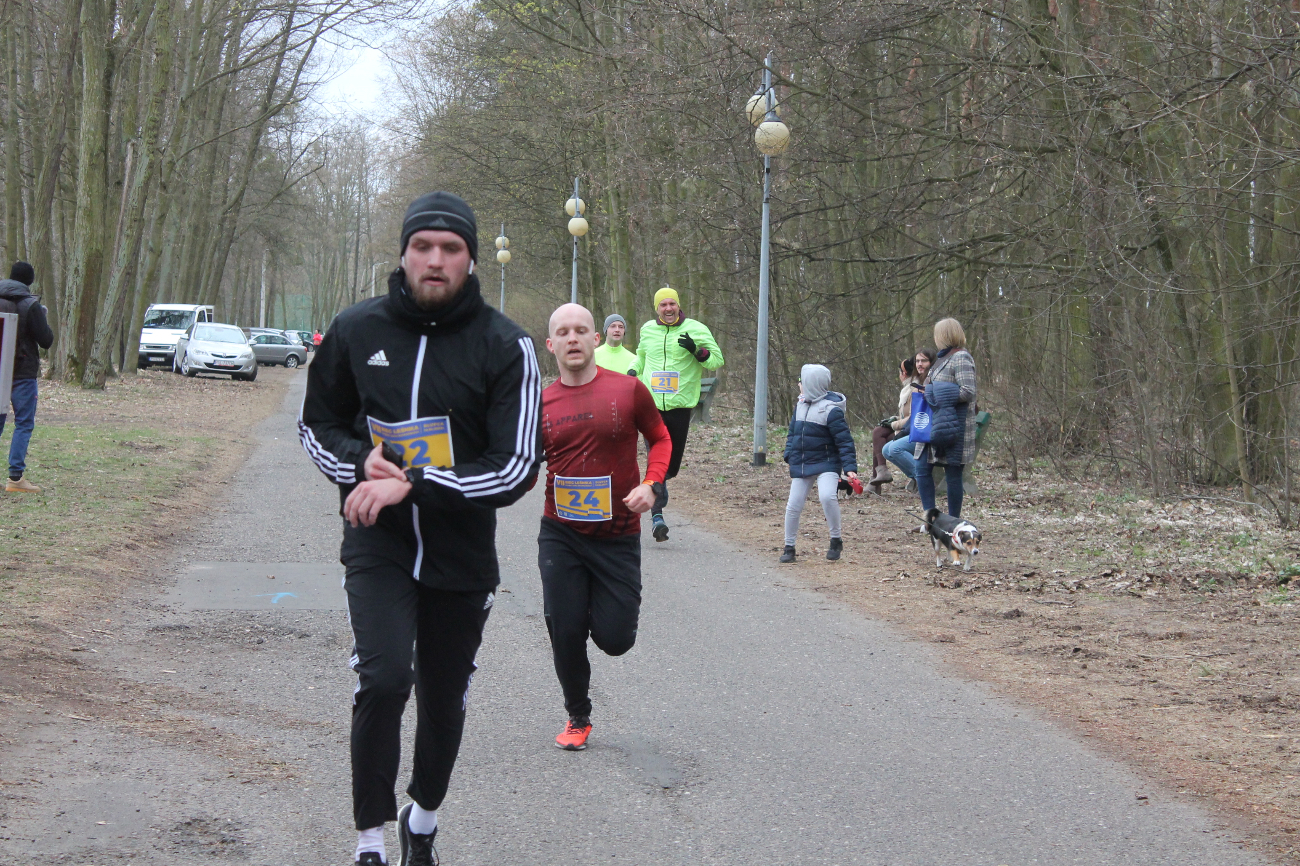 Bieg Leśnika na fotografii