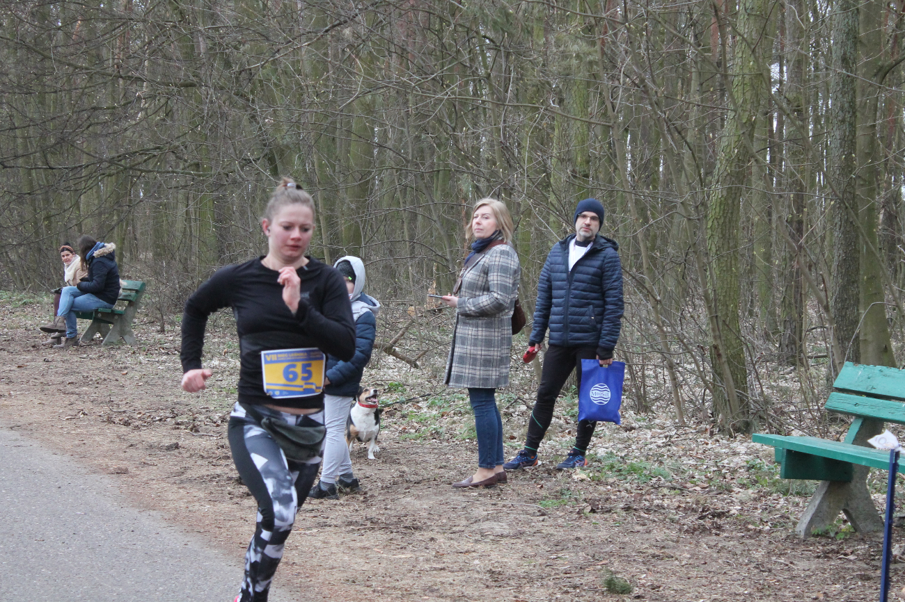 Bieg Leśnika na fotografii