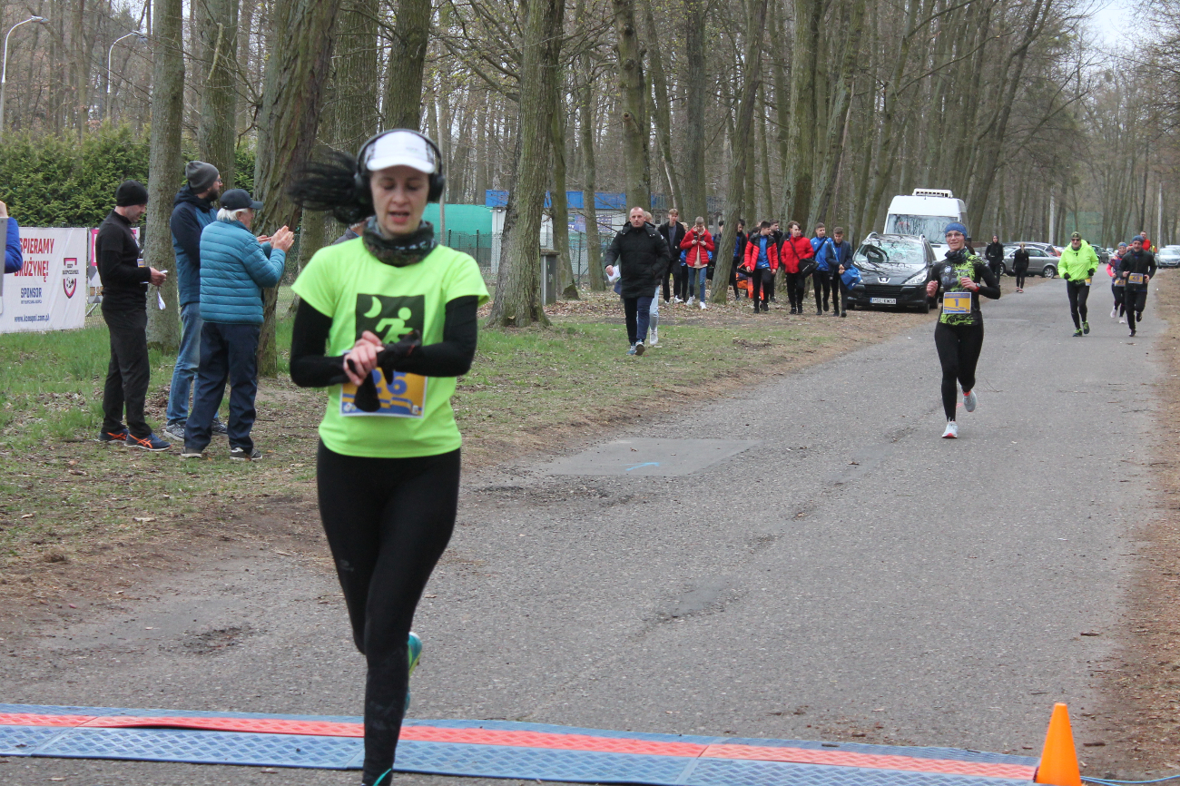 Bieg Leśnika na fotografii