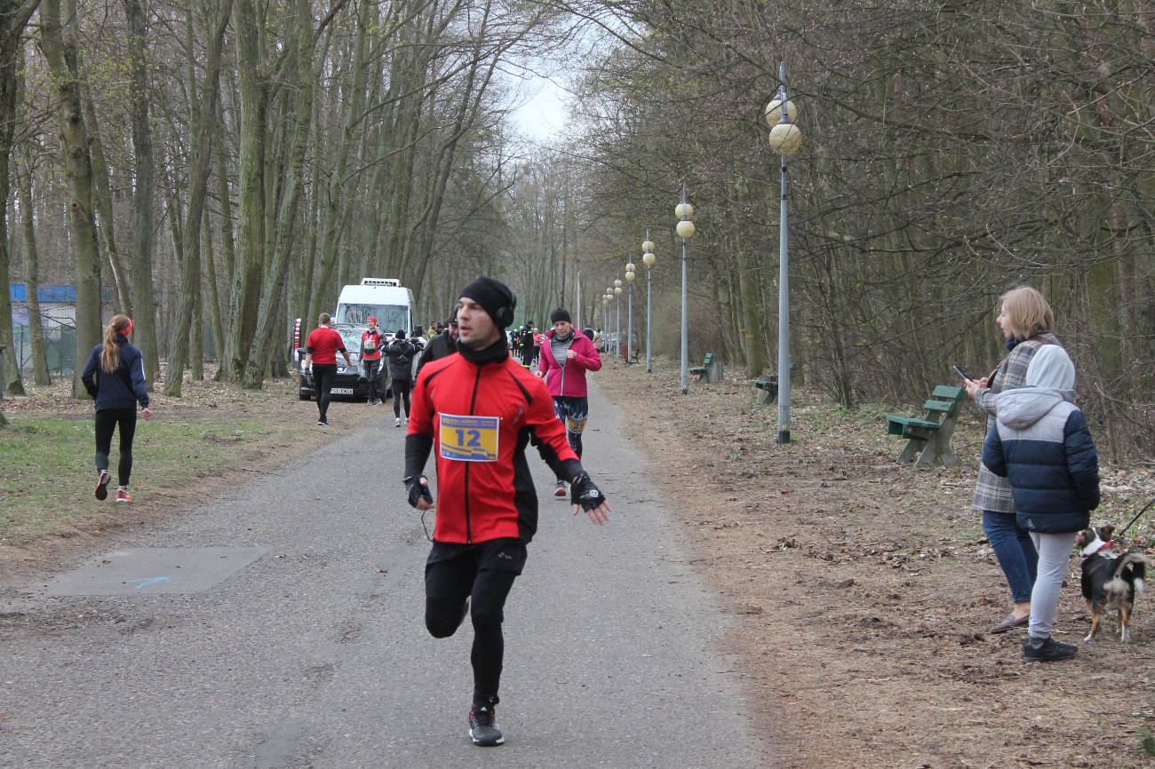 Bieg Leśnika na fotografii