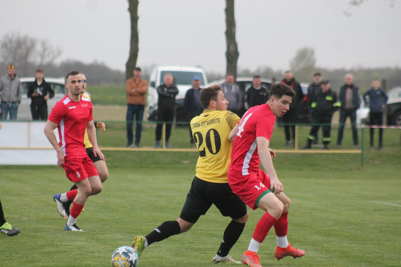 Czarni bez Korony. Puchar na fotografii