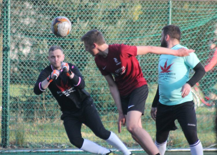 Szkółka wróciła na podium