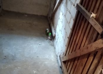 Niszczą piwnice w blokach