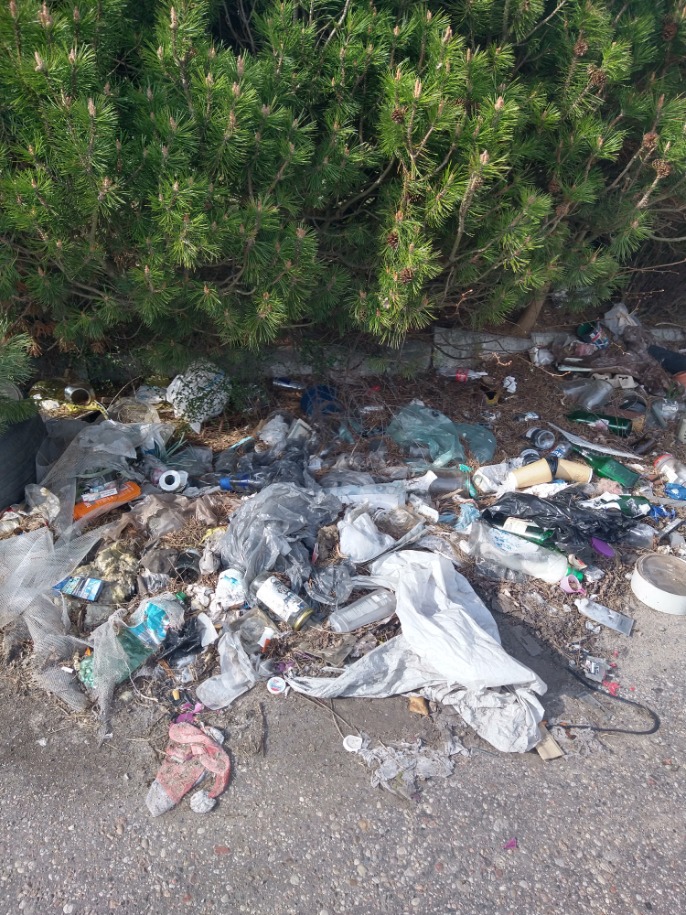 Dzikie wysypisko śmieci w Wilcznej