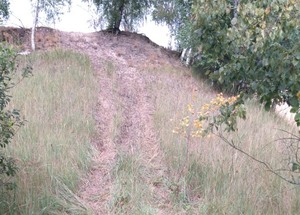 W gminie Lądek quadami niszczą łąki