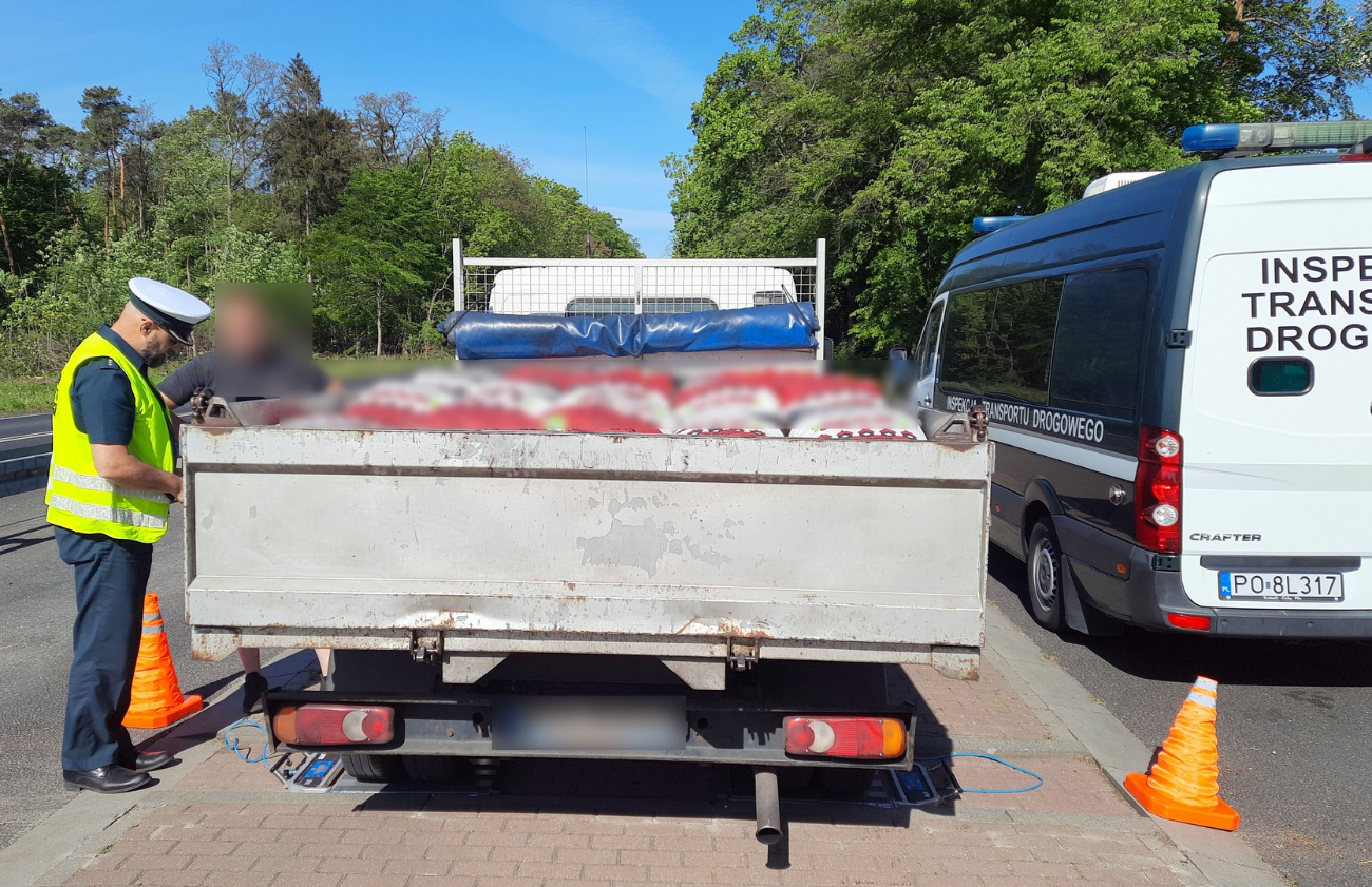 Wysokie mandaty w Wilcznej