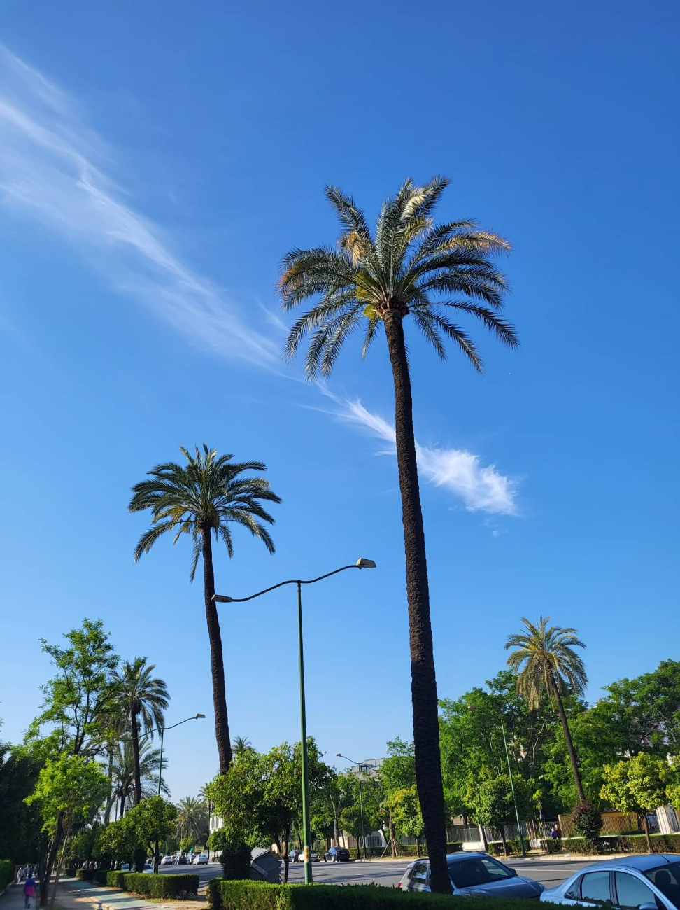 Uczniowie Ekonomika na praktykach w Hiszpanii