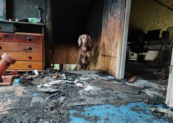 Piorun uderzył w dom. Zniszczenia są ogromne