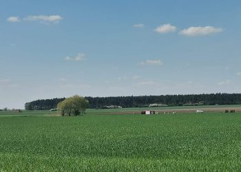 W wodzie znaleźli zwłoki młodej kobiety