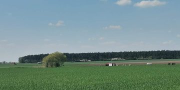 W wodzie znaleźli zwłoki młodej kobiety