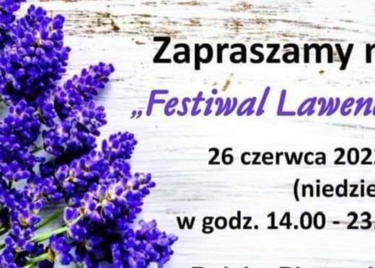 Zapraszają na Festiwal Lawendy