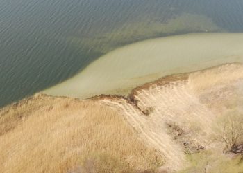 Posłanka interweniuje w sprawie Jeziora Powidzkiego