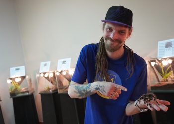 Pokazujemy ludziom, że pająki to nie mordercy