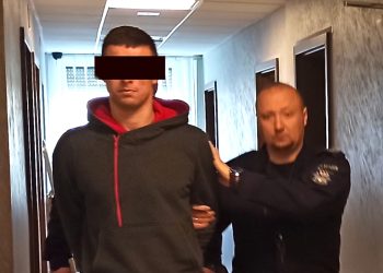 To oni kradli w naszym powiecie