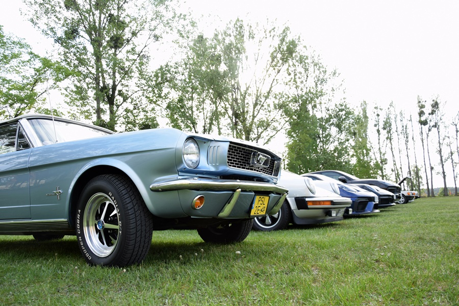 Charytatywnie „Razem dla Miłosza”