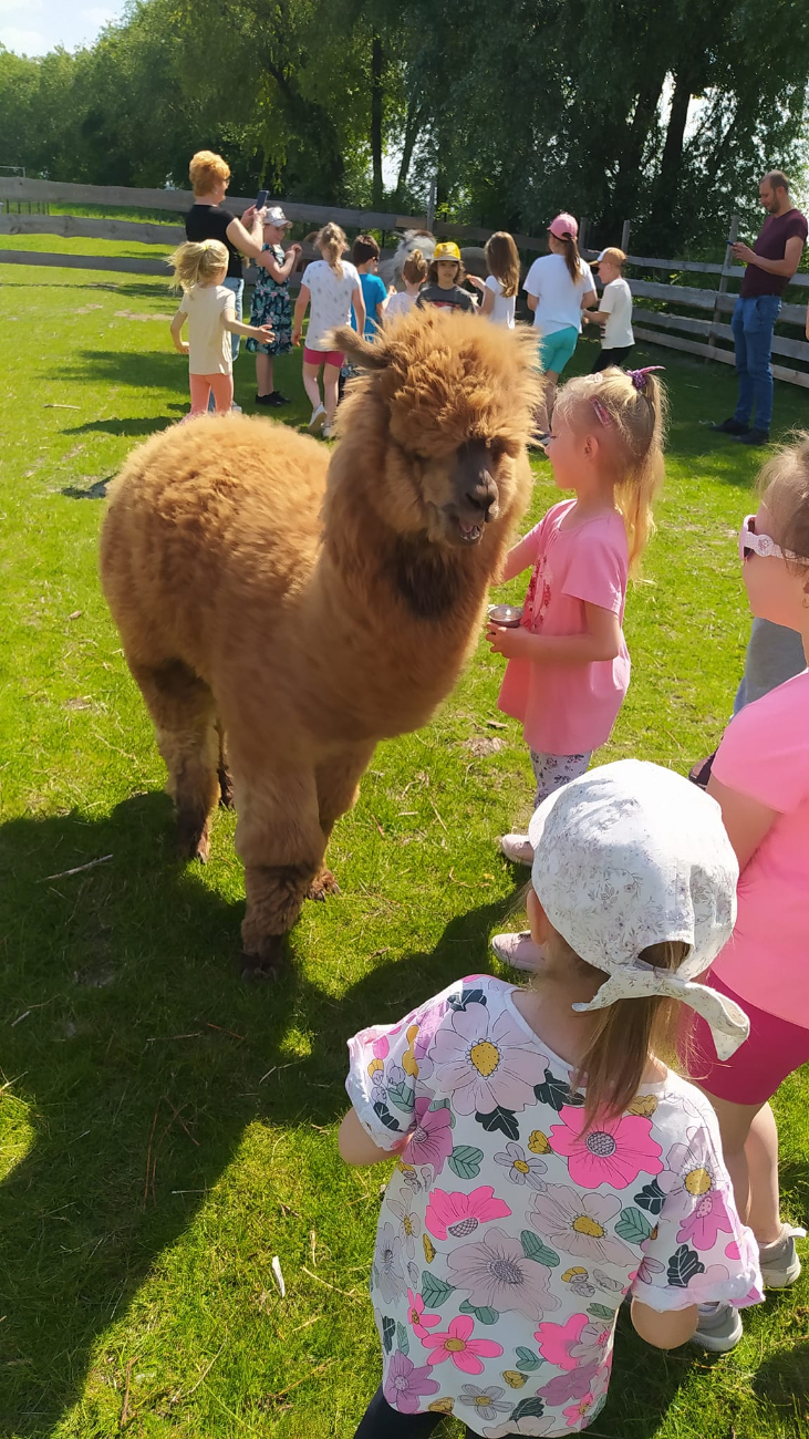 Piknik Rodzinny Przedszkola w Kotuni