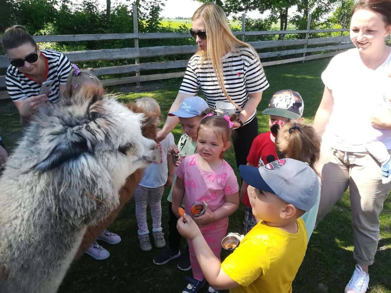 Piknik Rodzinny Przedszkola w Kotuni