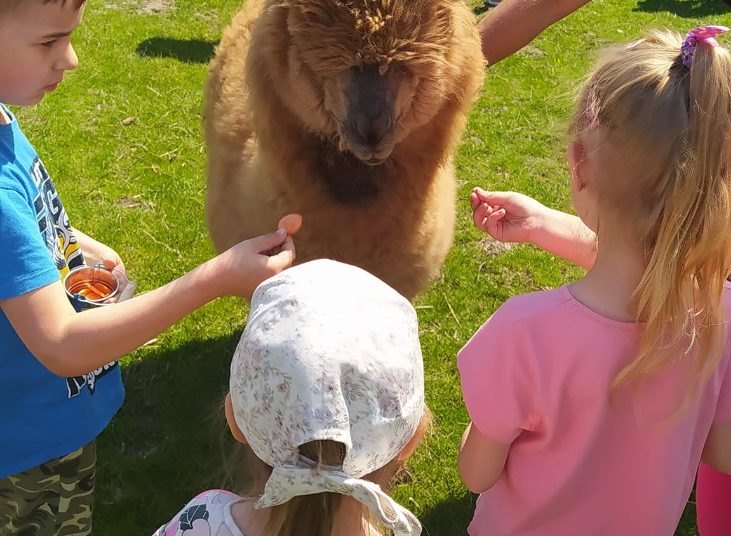 Piknik Rodzinny Przedszkola w Kotuni