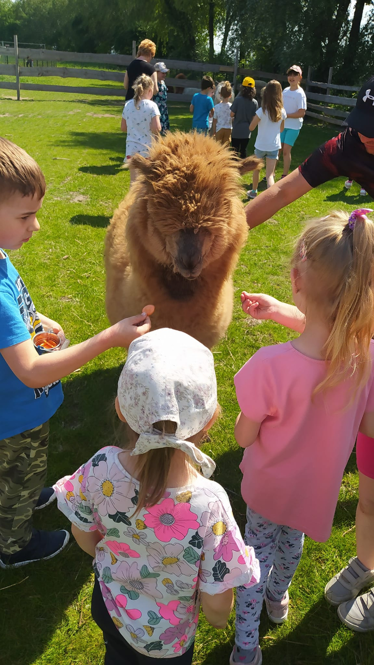 Piknik Rodzinny Przedszkola w Kotuni