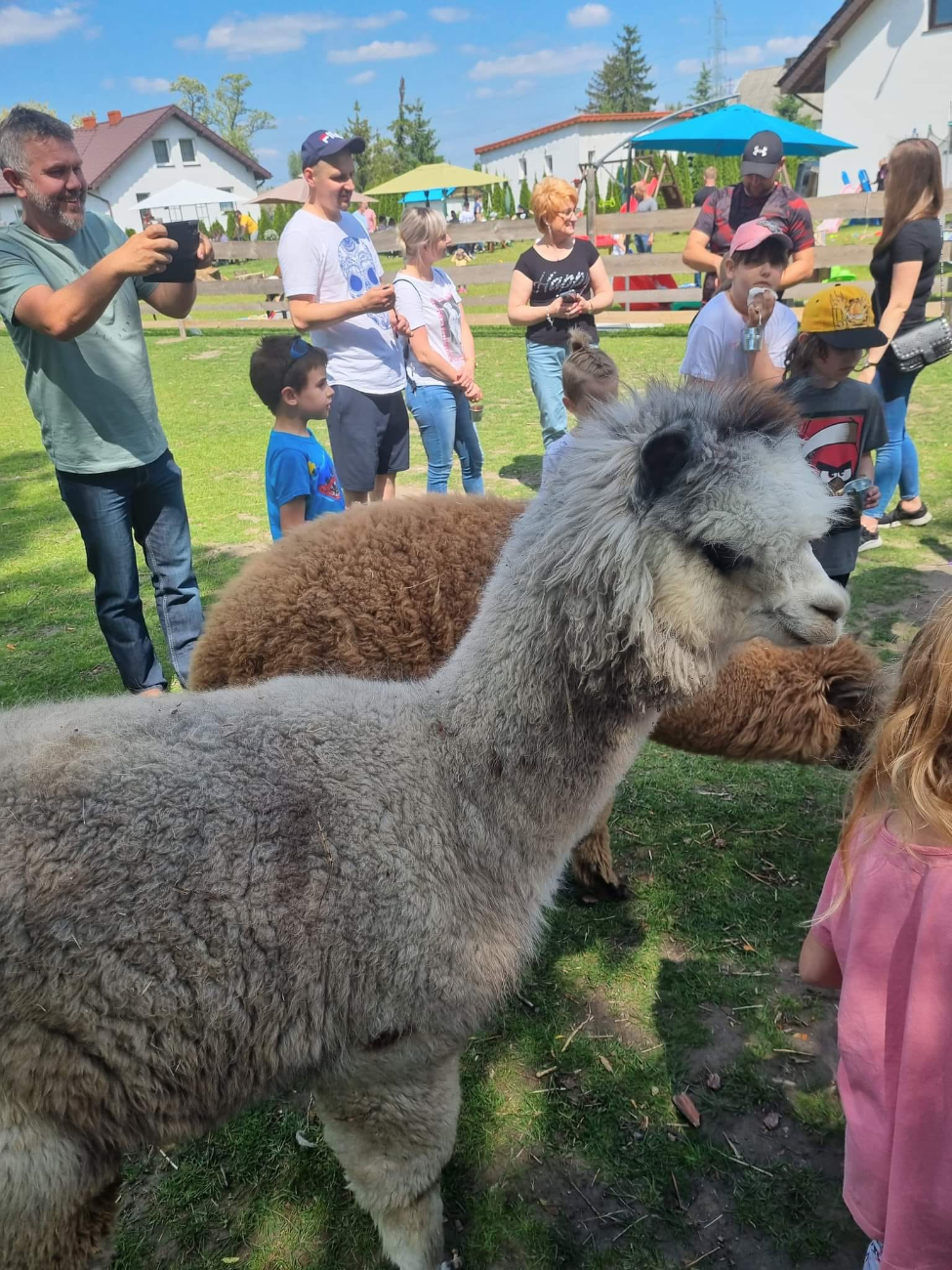Piknik Rodzinny Przedszkola w Kotuni