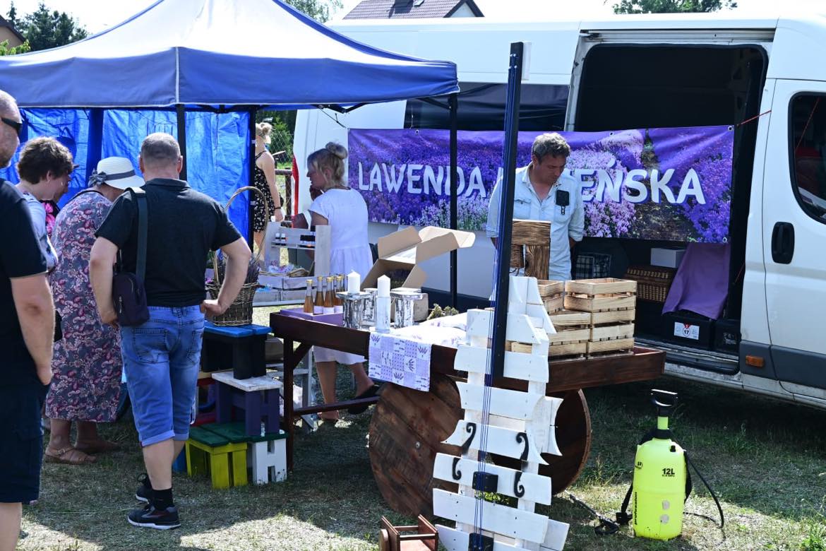 Festiwal Lawendy w Piotrowicach