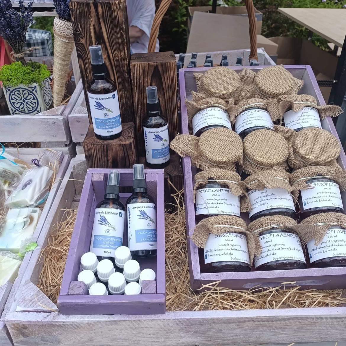 Festiwal Lawendy w Piotrowicach