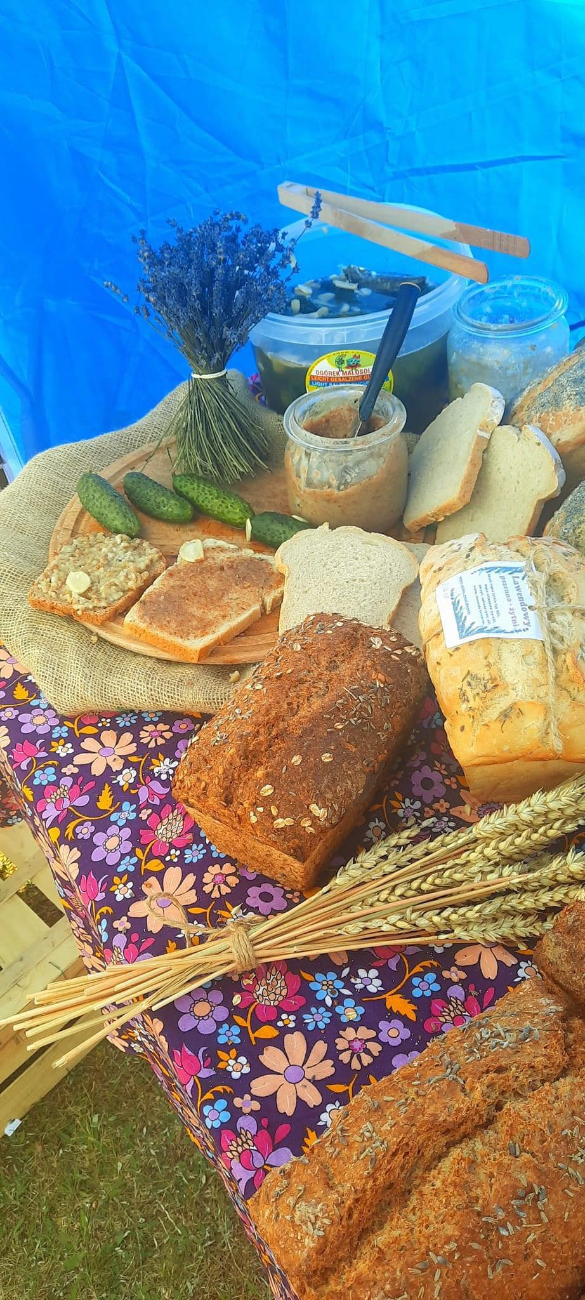 Festiwal Lawendy w Piotrowicach