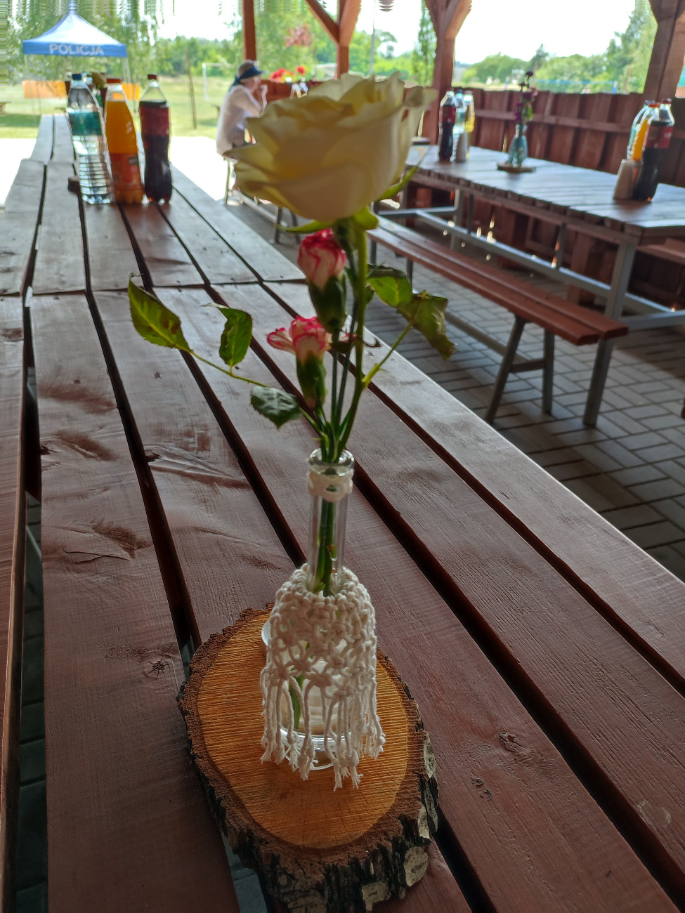 Szparagi królowały na stole w Gółkowie